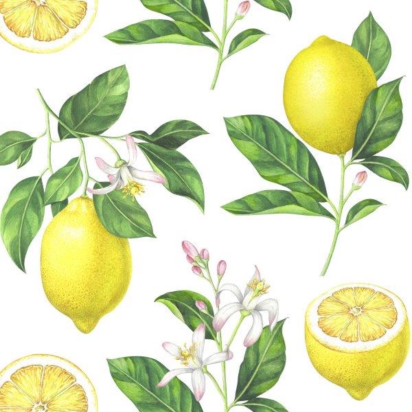 Napkin Lemons