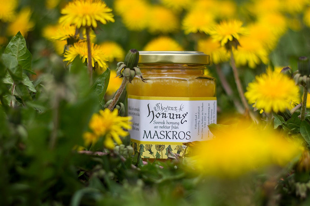 Skogens Honung Dandelion Honey